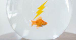 Elektriska guldfisken